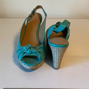 Teal wedges.